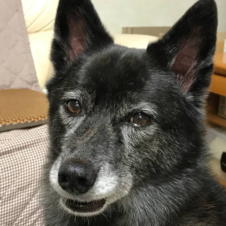 1782a1f7 877d 45ea b77a 193626124b5c