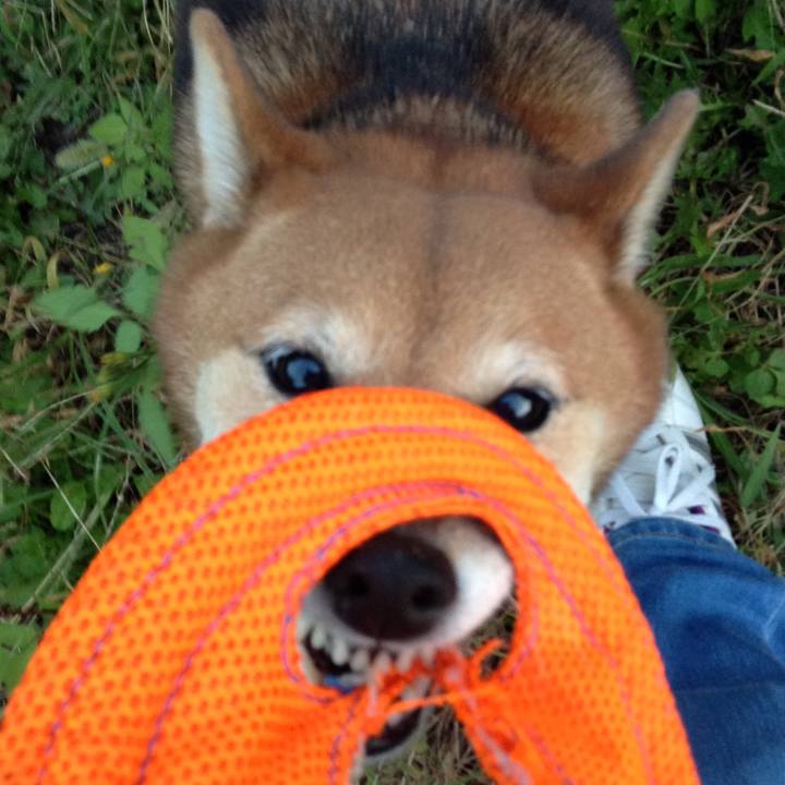 1782e2ed 17ef 4f8f 844a 302d4808d9fd