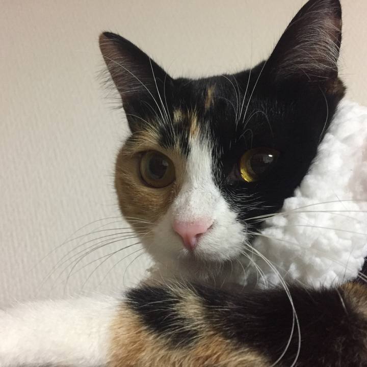 17832a5d 1e42 4312 8a2b 2a35affac756