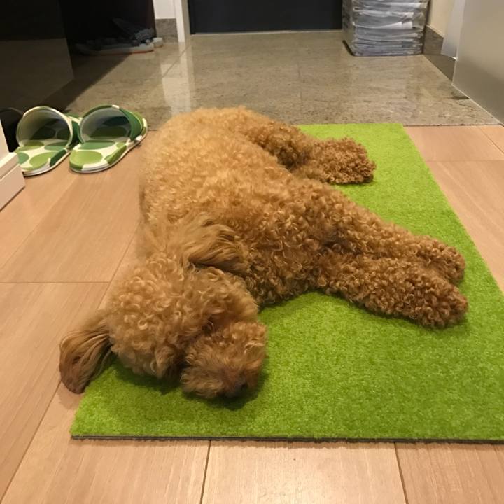 178352b1 24d2 4d2a b065 d2bf8a097f1d