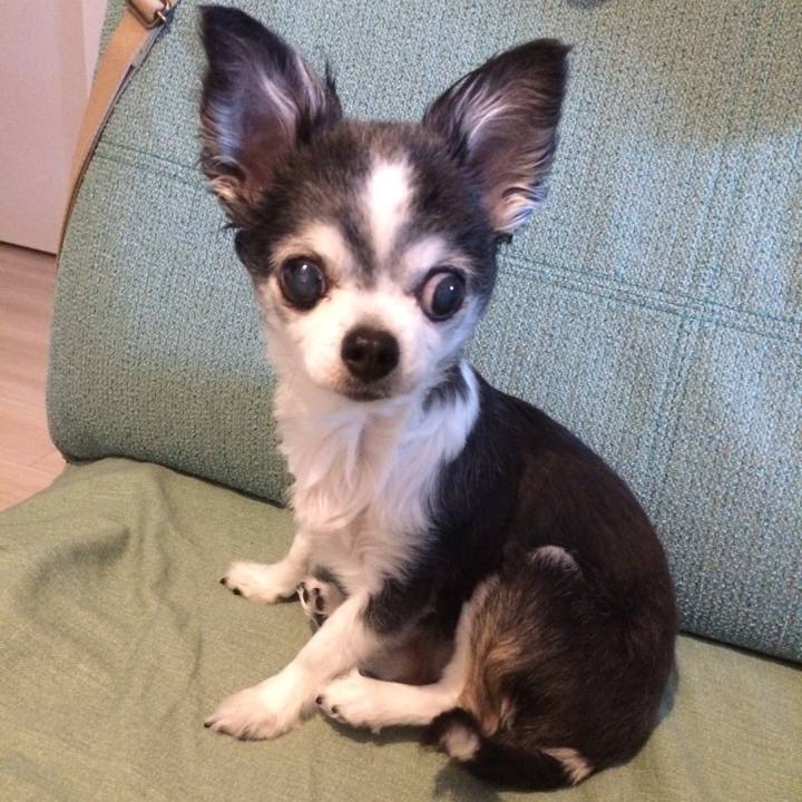 178357de abae 4014 9c01 e2ed29b76728