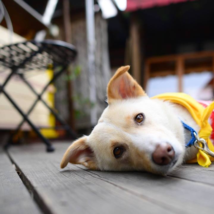 17839ef6 e24c 4eb8 9e2b bc9779931b72