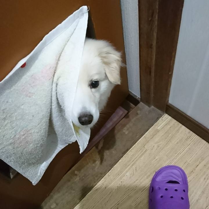 1783e7d6 94ff 4726 bb96 aeccdf35a690