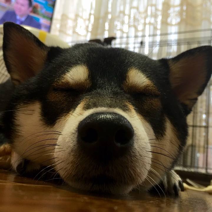 1784384f d2b9 4967 8136 a60ad723017d