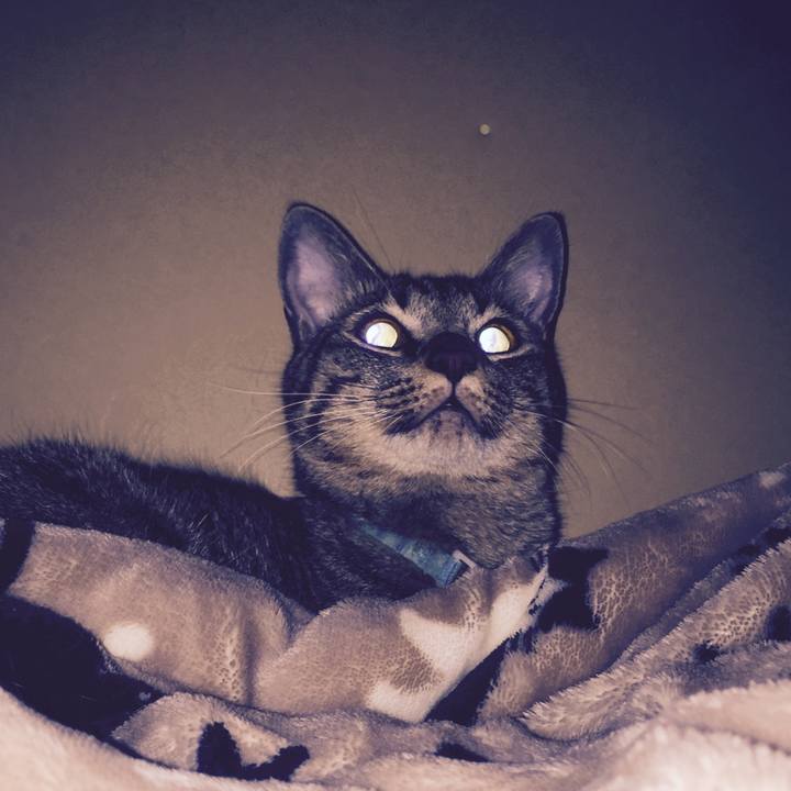 17845481 499a 4da0 99f5 f6726aeed075