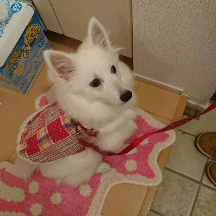 1784745b 03e3 478e 85f2 22cac2bfa72b