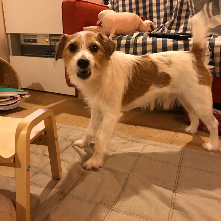 1784cf64 8619 4f96 90be 740af88cdd66