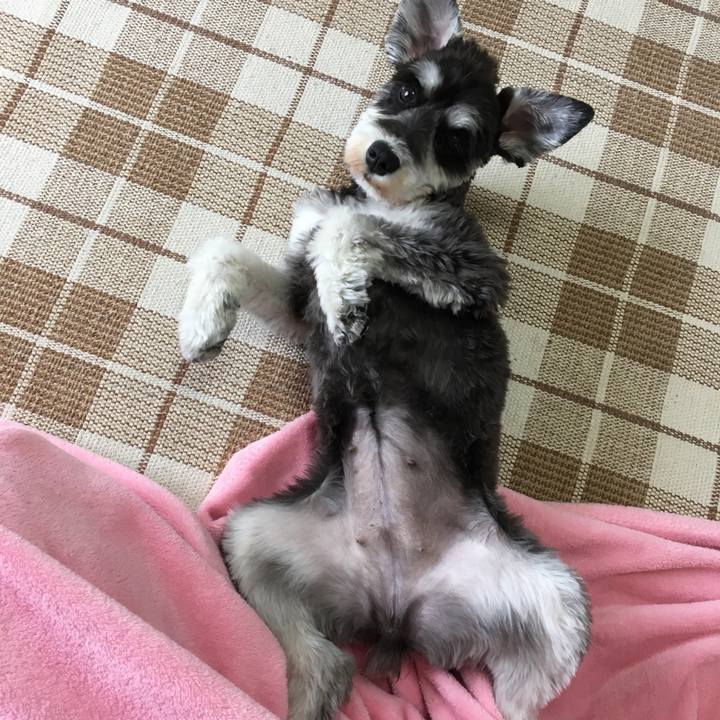 17854686 38a6 4f1c b2b7 67cf0f8fdd4d