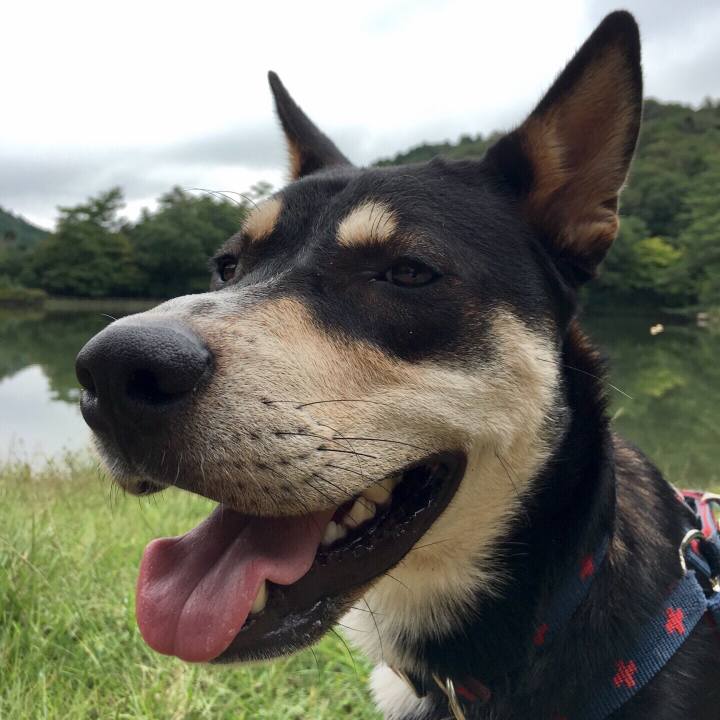 17858006 ac95 42e6 9269 d7841ea21637