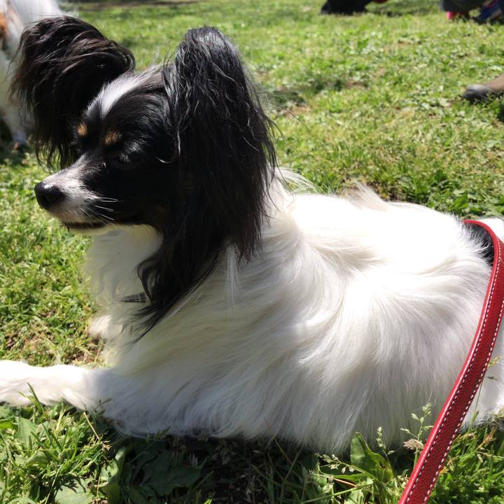 17863ca4 07e8 4d1f 817f 6e7c9b347492