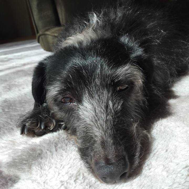 1786586e 2132 41f8 8a6d c3e1ce790ca1