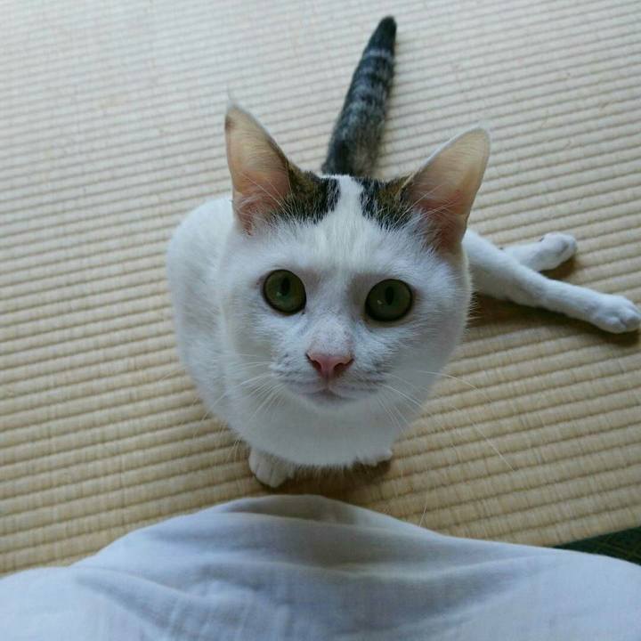 17872f76 595f 4578 8435 4c8279e25380