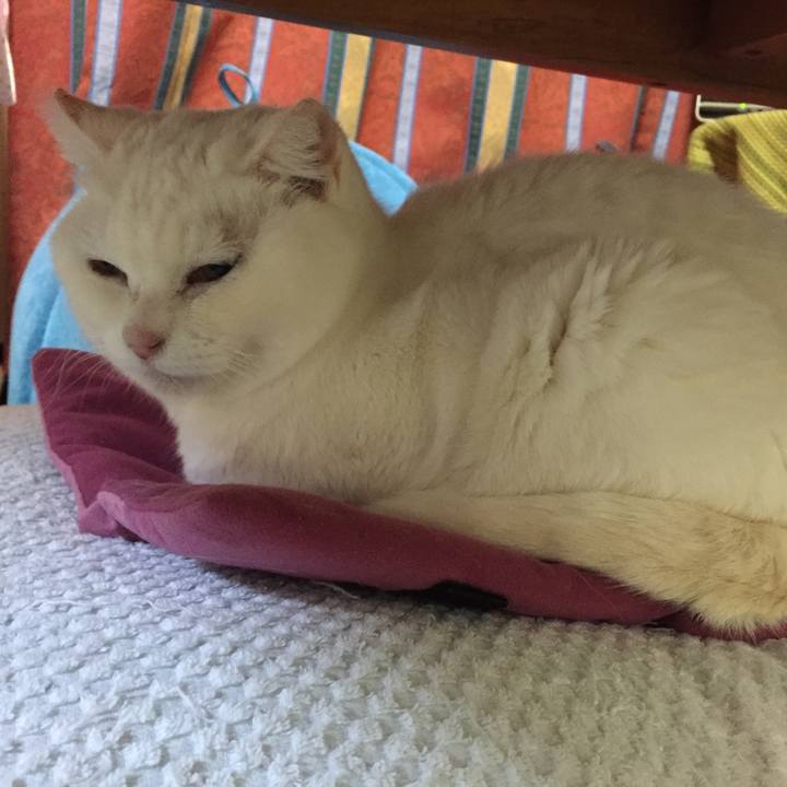 17874a67 8a22 43fd ae58 42ae4bce04d8