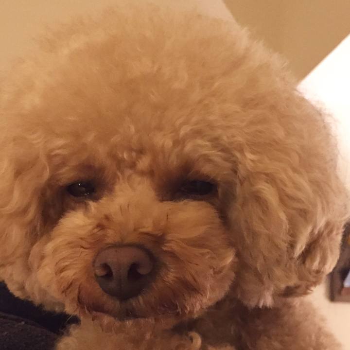 17874d10 9d1b 4a26 99a3 630f1b3cc373