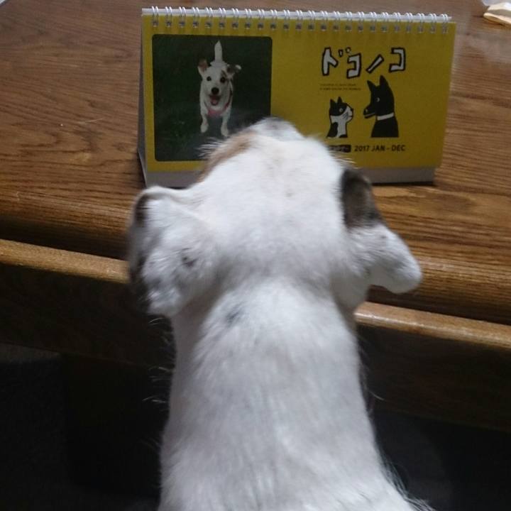 17889d1b fe9e 47d5 a24c 13802443572d