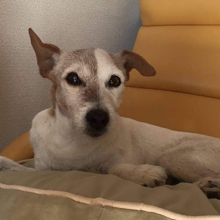 17891ec8 8d3b 40ff 828a 320f24639ce1