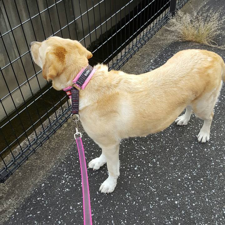 17894f5c 3abf 4a74 b45c 2942f93442c3