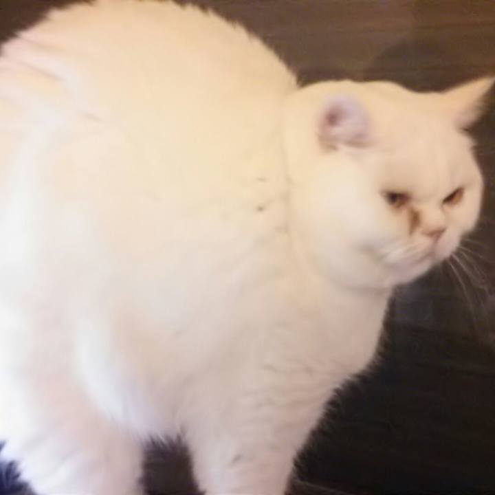 17895f55 a4b6 4943 bb1f 5b81ae15a2e7