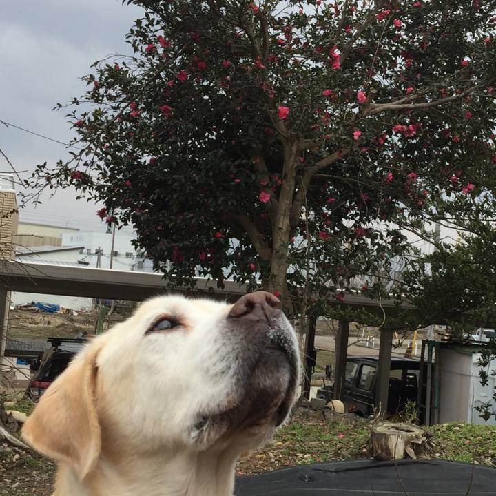 1789953a d75f 42fd a5ce f4c7541bf49c