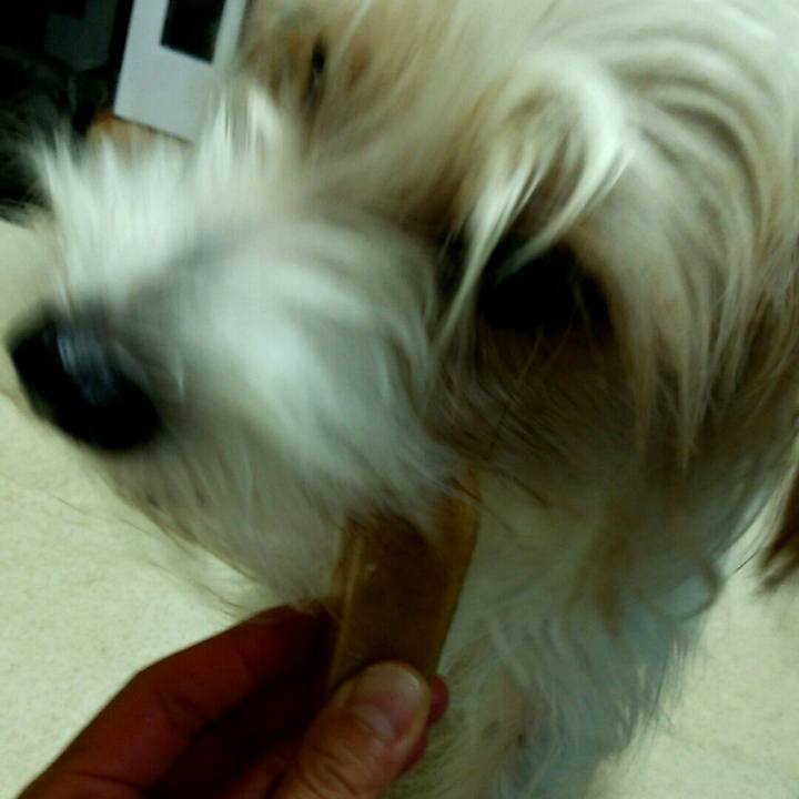 17899bb5 2746 465a a935 c1b288ec7af4