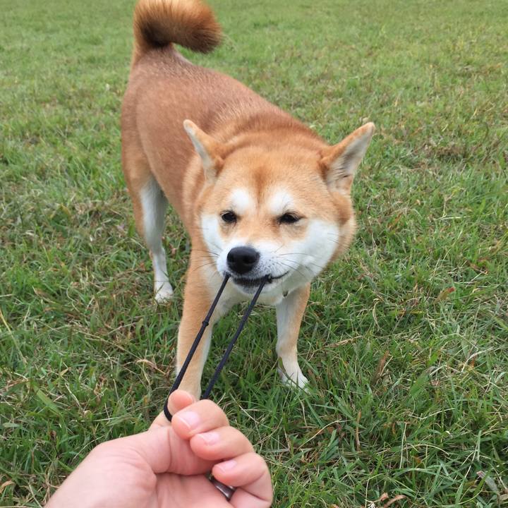 1789be4e c211 43e1 a884 ebd0fa0ab227