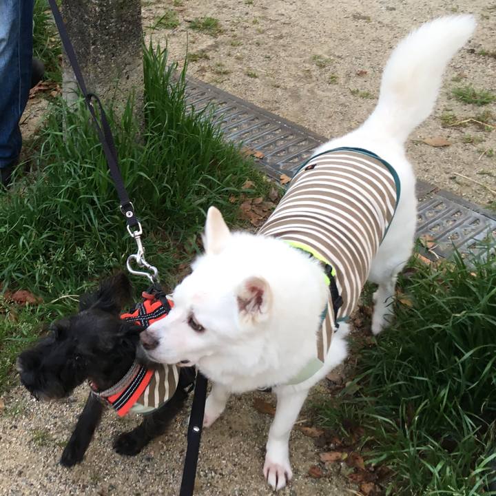 1789d9ad 4b27 4e44 8406 110af05aad1f