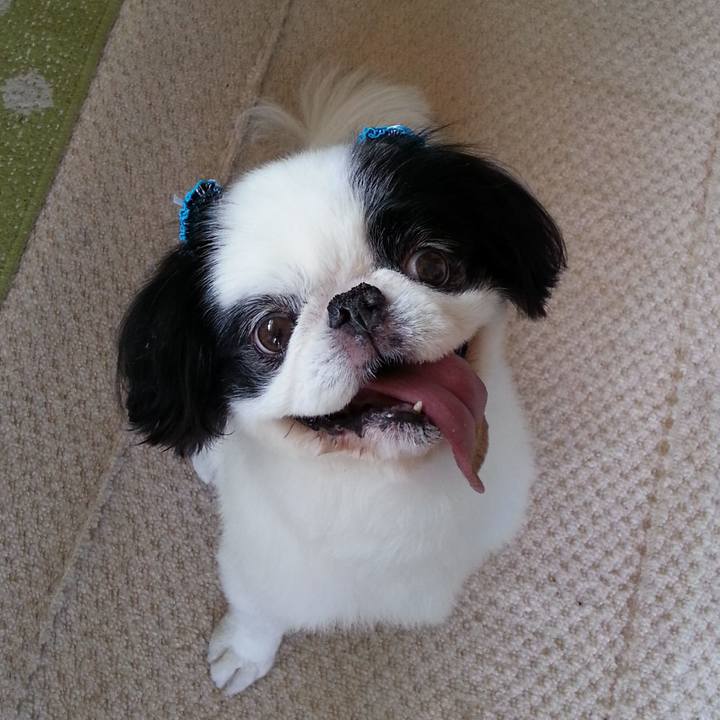 178aeaed c2aa 4f55 ab59 ec0a3df119bf