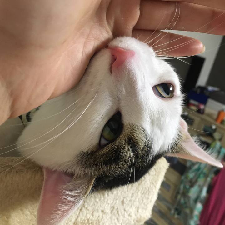 178b32aa e833 4247 b405 32f65c2951a0