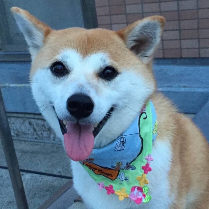 178b546e 6a32 49bb 9219 aff2a5b02f8d