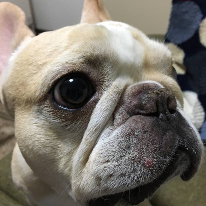 178b83ef 0b11 4b33 b842 cd90ed3f9feb