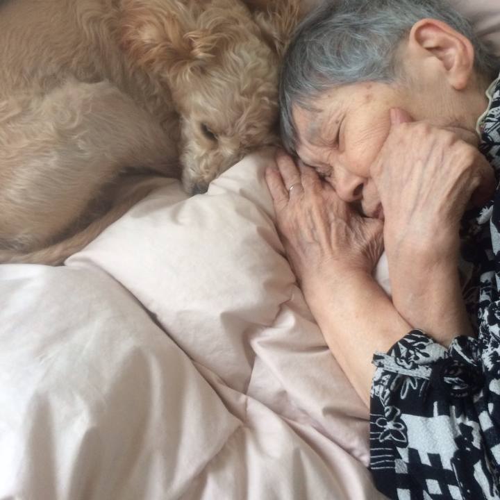 178bd23f ce78 4bf0 bae0 8d552478758f