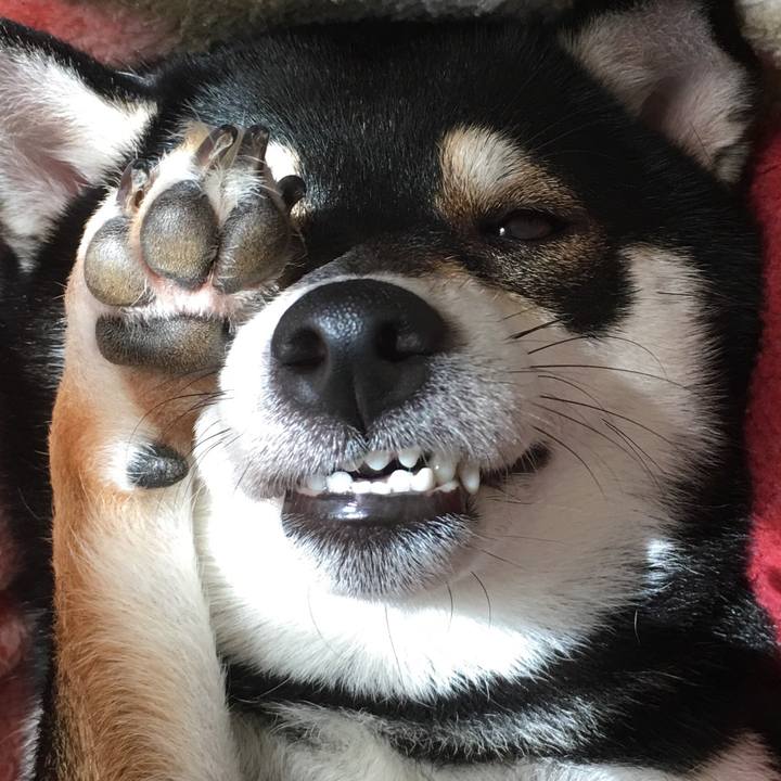 178bfc03 f253 45c2 a80a 8ac349e4512c