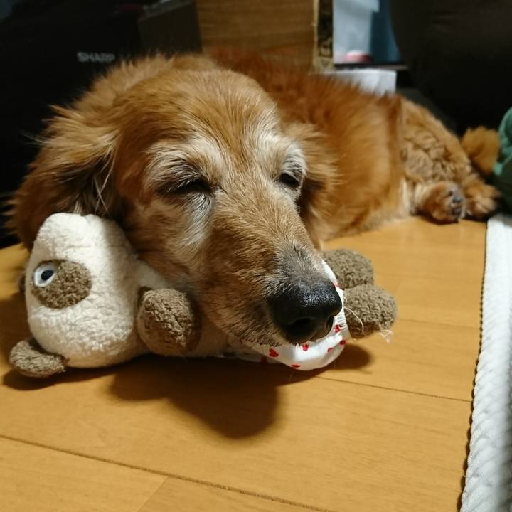 178bfd57 bf20 4bb4 9be4 97891ba450b2