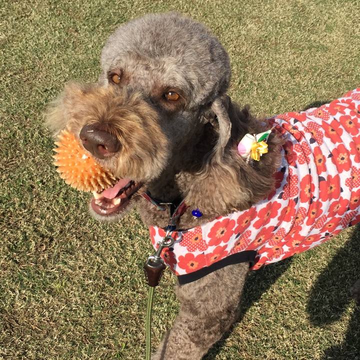 178d4e98 8c59 4eb5 9636 6a4d4aff6841