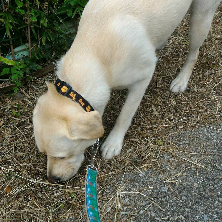 178e35c0 5ff6 4b5a be21 c71a51299ada