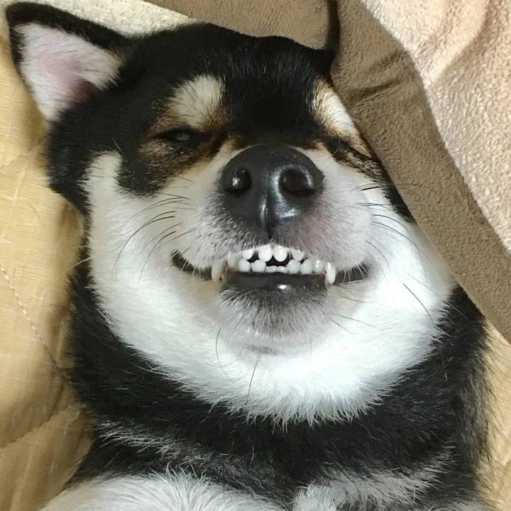 178e50af 2e26 4151 b6dc d5a4df593df5