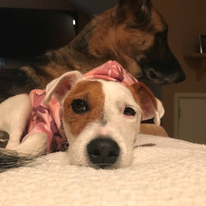 178f21c1 6670 476a add1 ecf5b4c01bfa