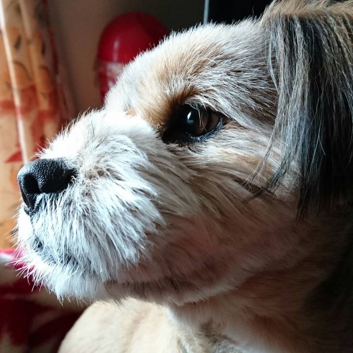 178f3a8b f2a2 40d4 855d b97b3cd11cd0