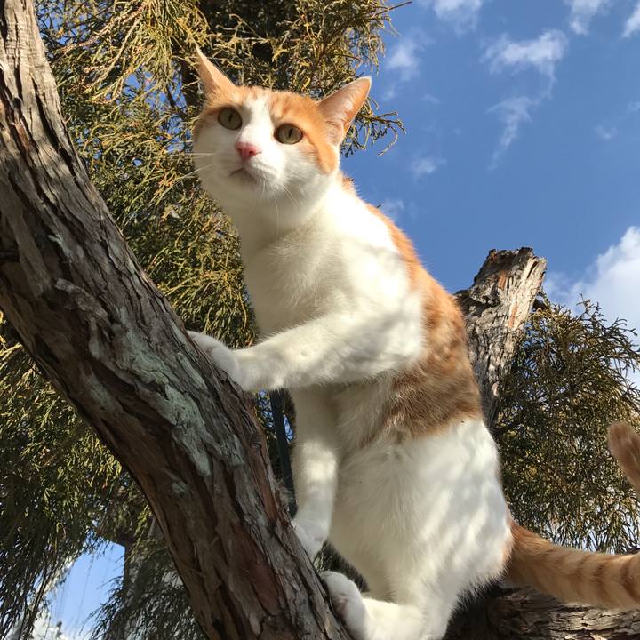 178f3dad 928a 48f6 ba16 7806664c7ce0