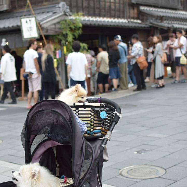 178f7f49 92f7 4a65 a4b5 dce18c6984f3