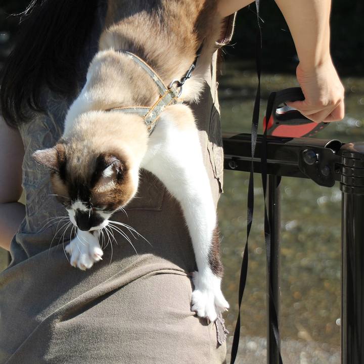 178fde5d f551 4cc6 8b8a 2e49d5619cc8