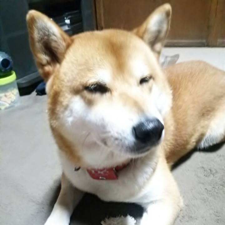 17900783 1287 475f 82e1 f4f2e35157d2