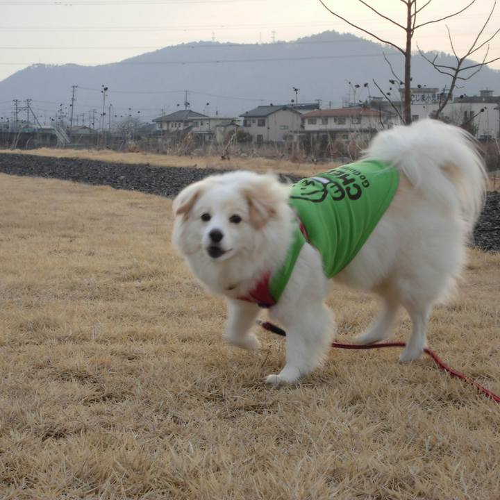 1790b0fa 3429 4624 a7e7 7873a5b9a6c1