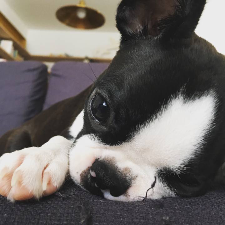 1790cdff 68fc 4e60 a311 22399c970c58