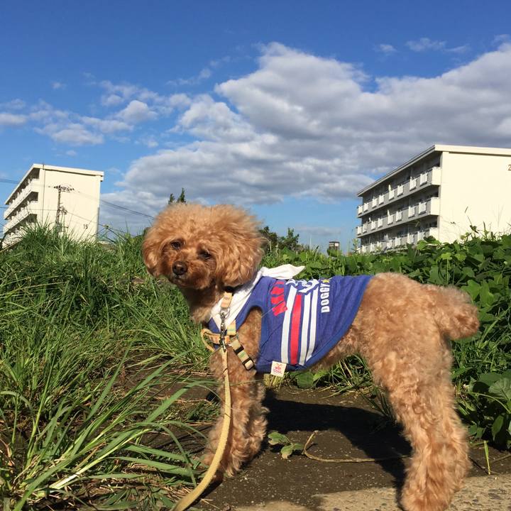 1791427a eceb 4156 9f7a e3652b0cfbad