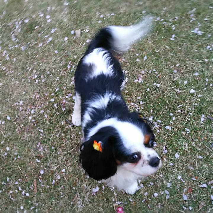 1792d2ee 5409 4f73 88ce 5e71e499ed47