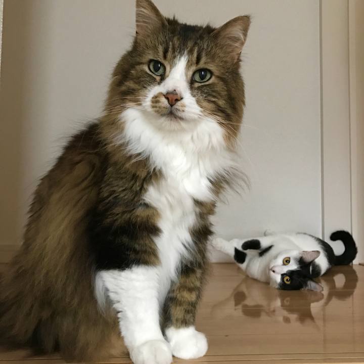 17935a9d c97d 47fa 86a6 962de7b05202