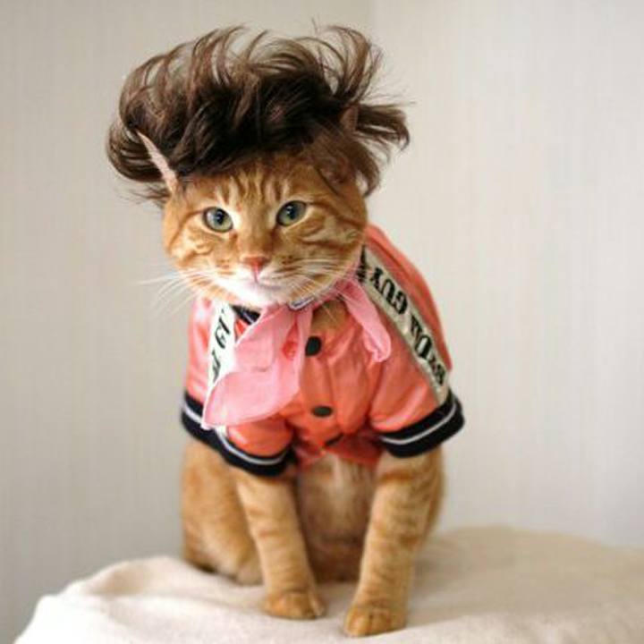 17946b67 95df 4273 8f31 a1cc54ce9a4f