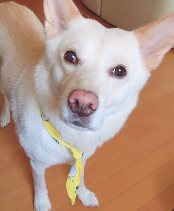 17947670 b385 446f bfd0 2a72a6f758a2