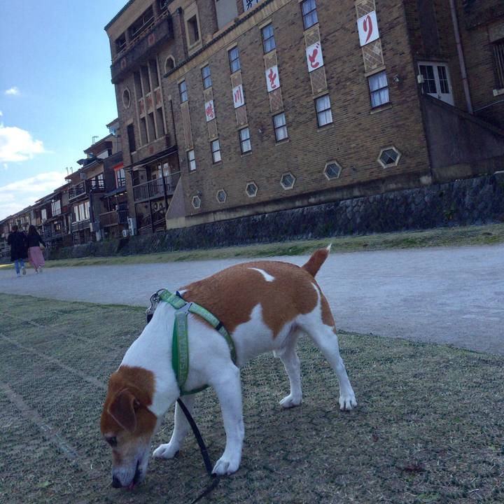 179664d6 ab9a 44e5 b8c1 f53152770f11